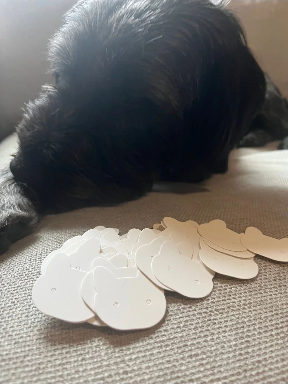 Cat Shaped Jewelry Post Cards Shipping supplies